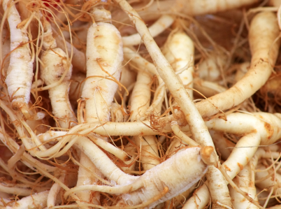 Ginseng